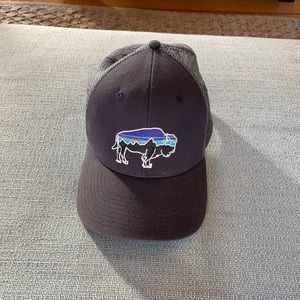 Patagonia trucker Fitz Roy hat